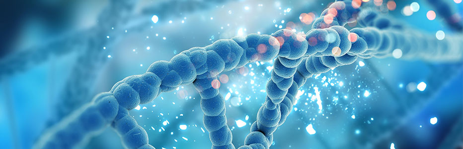 PROTAC小分子药物